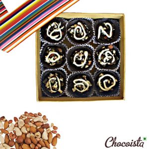 Chocoista homemade Dry Fruit Chocolate Premium